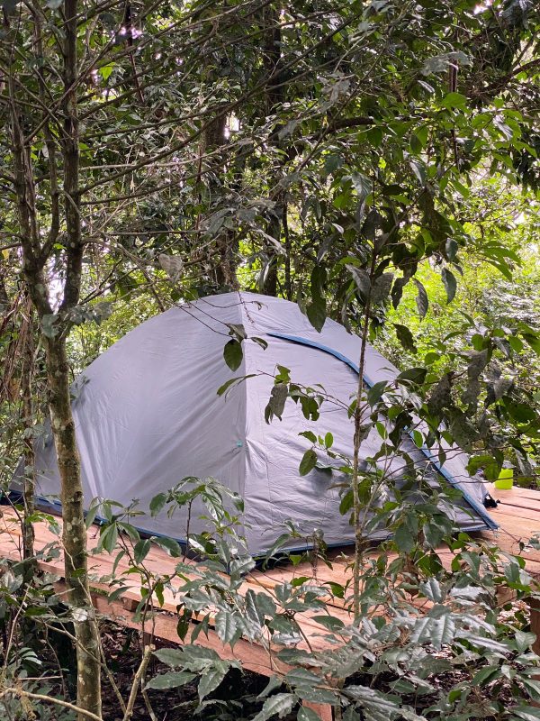 Camping Gear