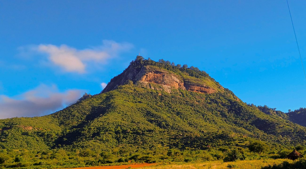 Hill-chawia